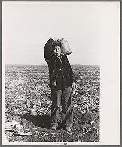 Mexican boy water carrier in beet field near East Grand Forks, Minnesota